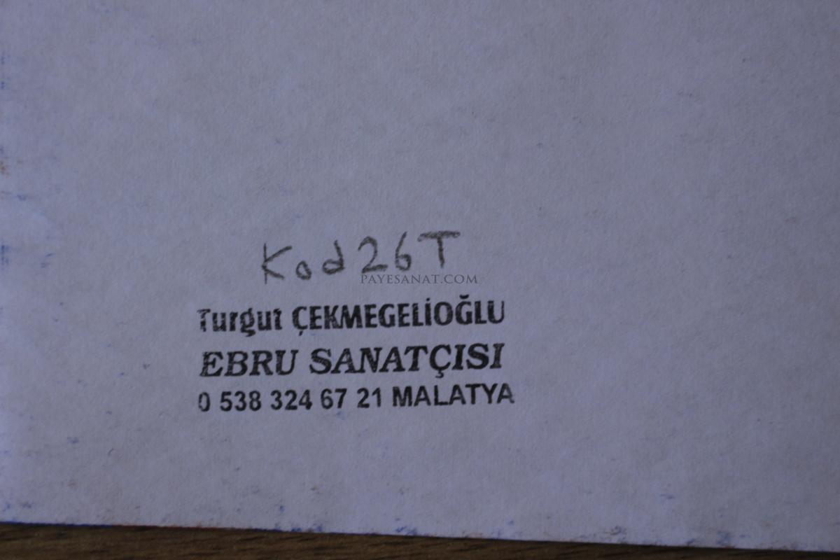 BATTAL EBRU 