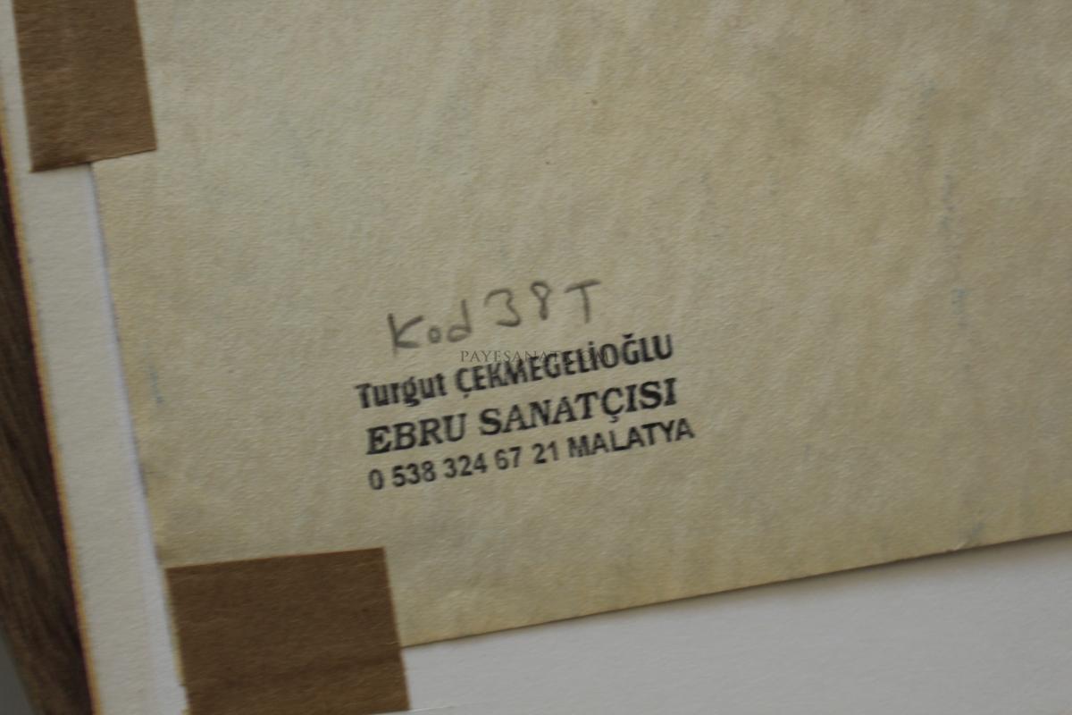 ÇİÇEKLİ  EBRU(Murakkalı)