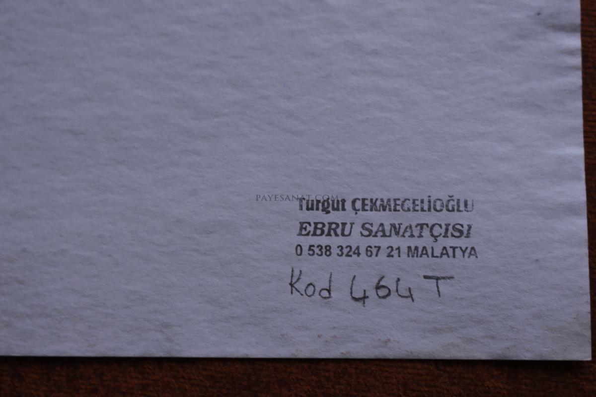 HATİP EBRU 