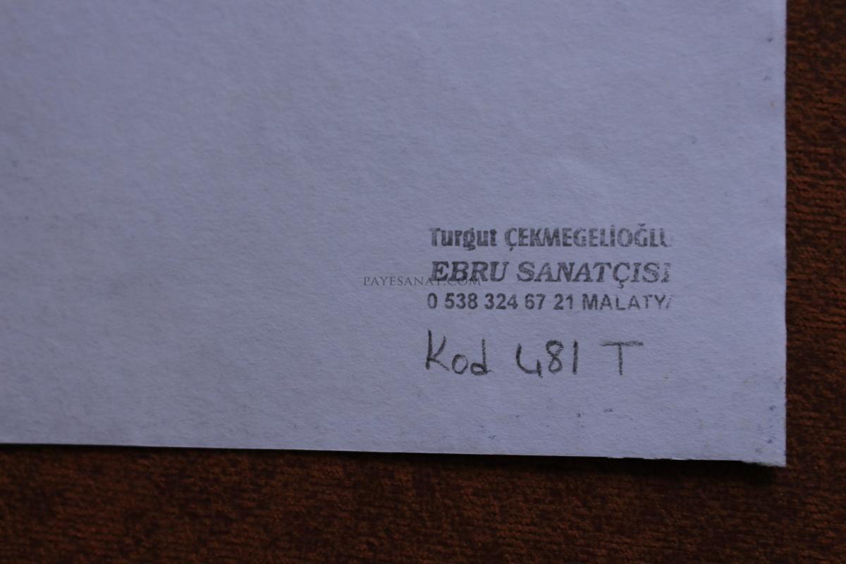 BATTAL  EBRU