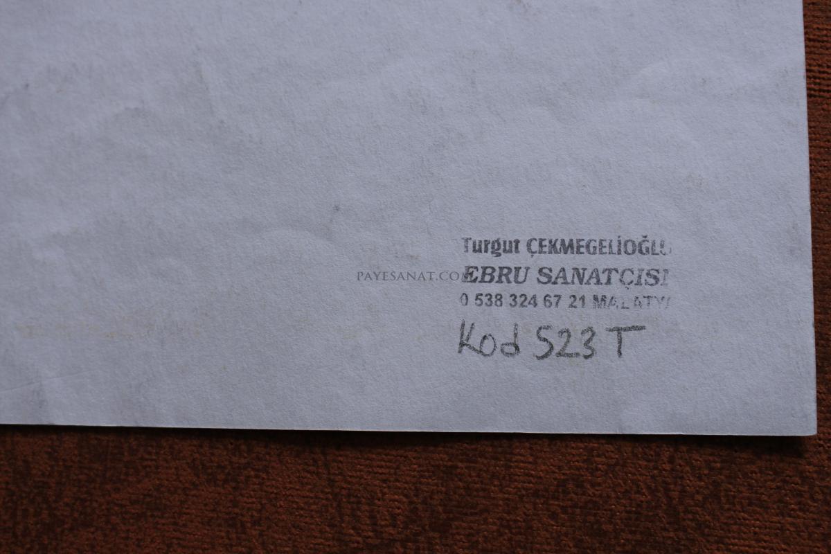 TARAKLI EBRU 