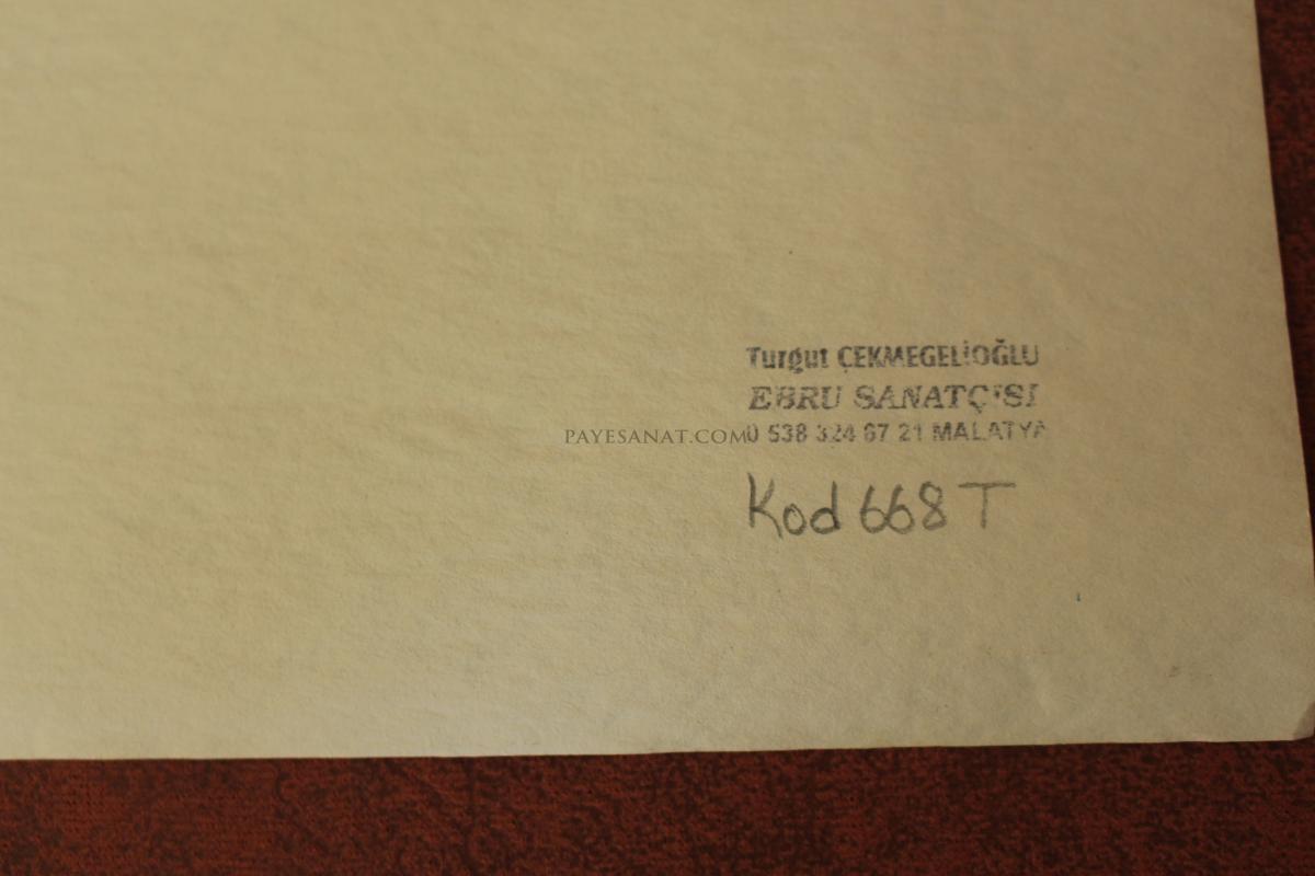 BATTAL EBRU