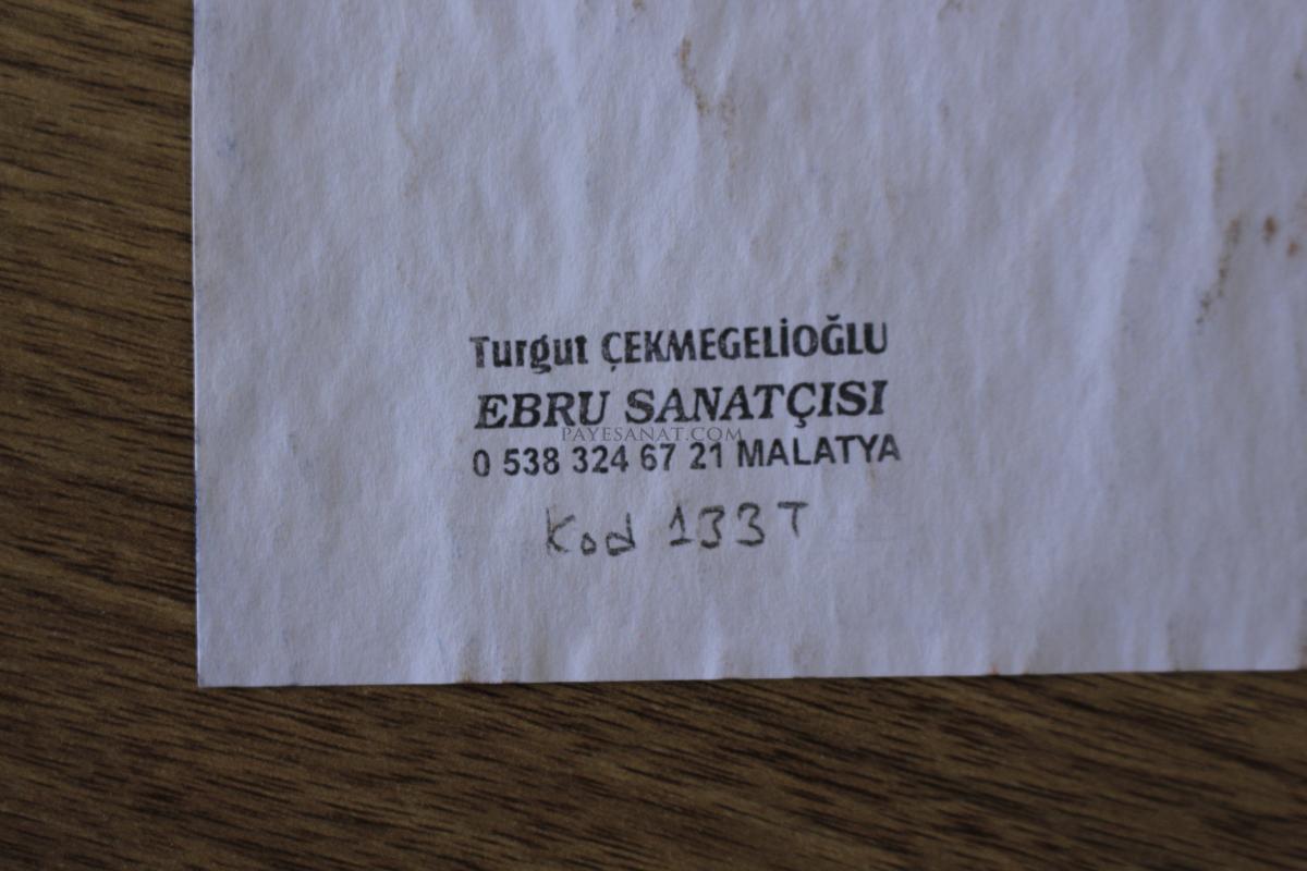 BATTAL EBRU 