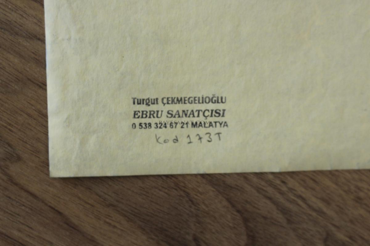 BATTAL EBRU