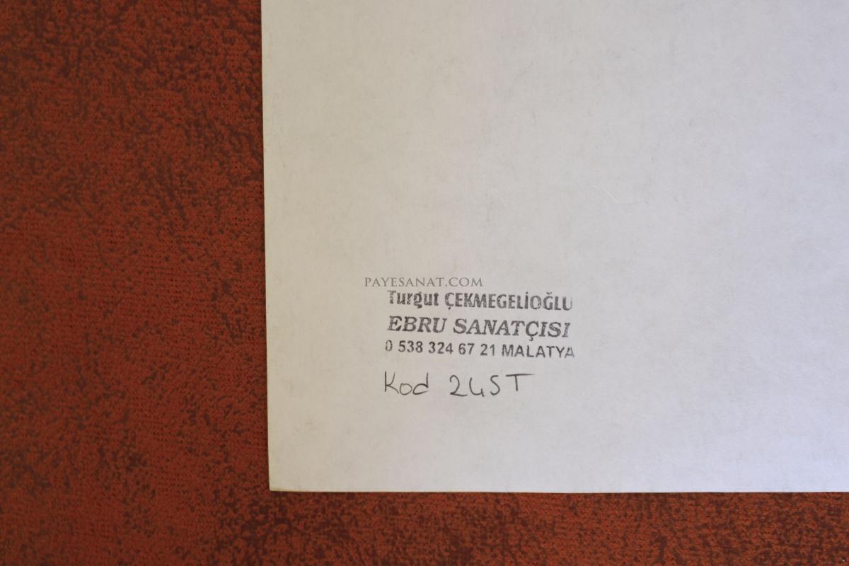 TARAKLI EBRU 