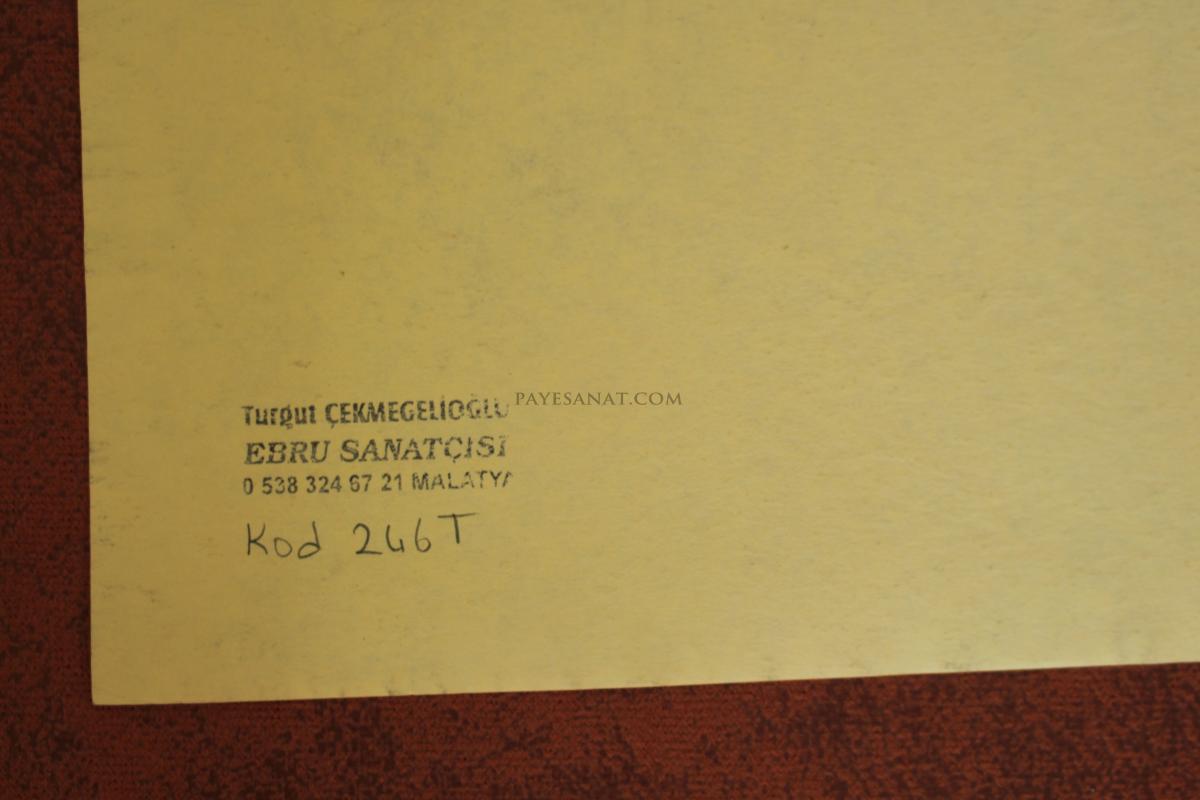 TARAKLI EBRU 