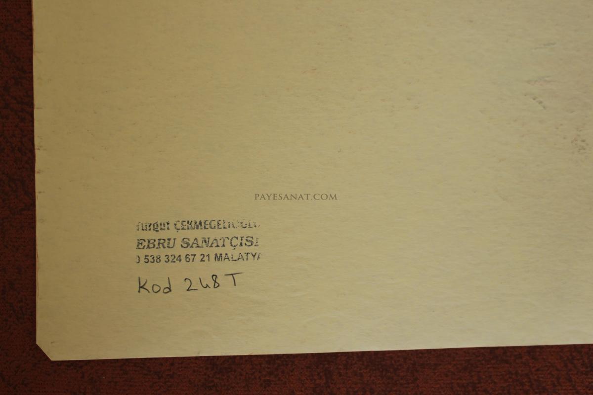 ÇİÇEKLİ EBRU 