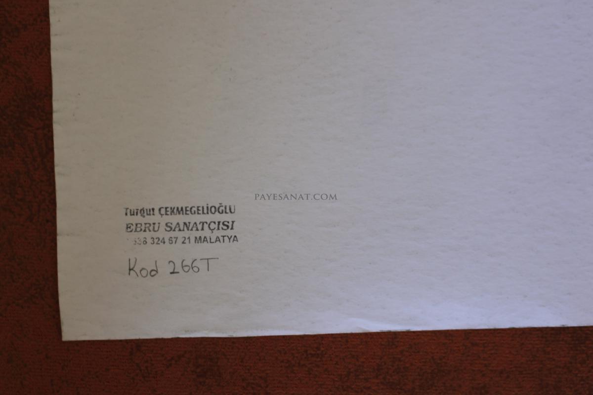 BATTAL EBRU