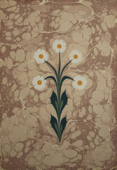 Turgut Hoca Ebru Eseri